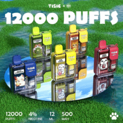 TISIC CAT 12000 口一次性電子菸｜貓咪拋棄式電子煙 | 4% 高尼古丁｜12 種果味｜可愛貓咪造型｜台灣正品保證